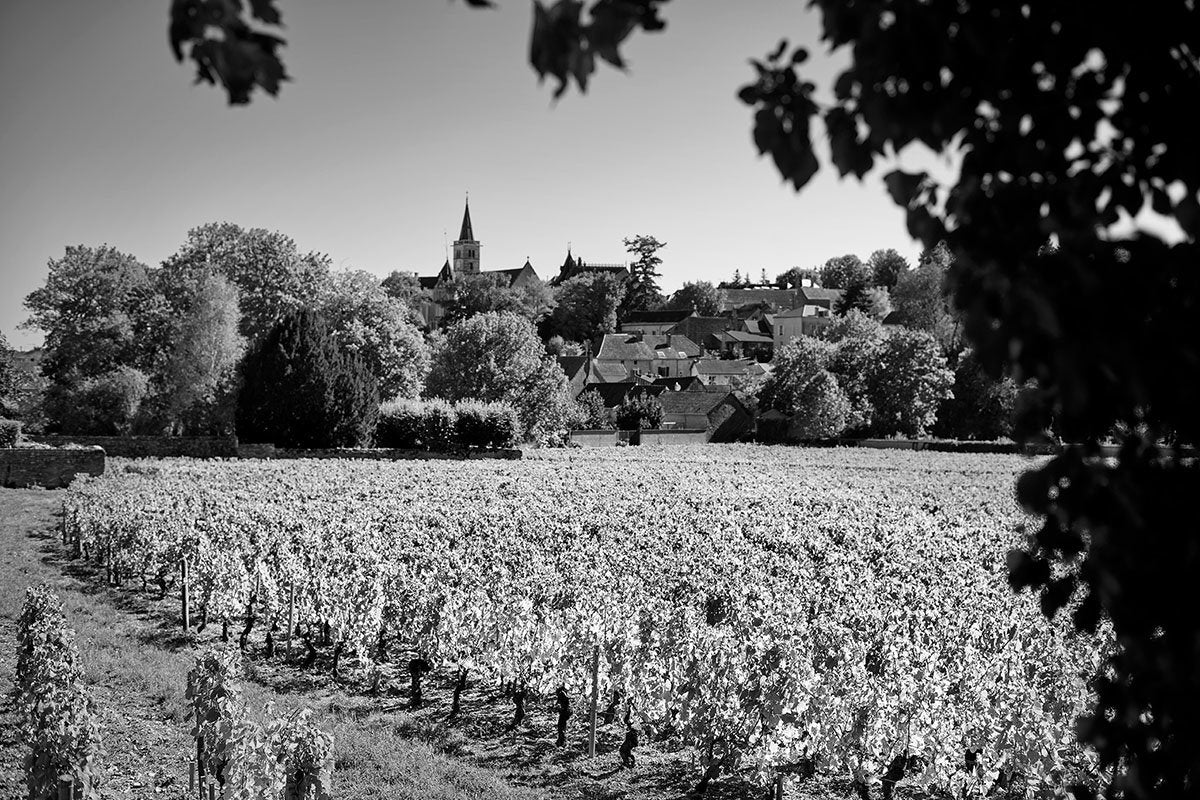 Domaine Belleville