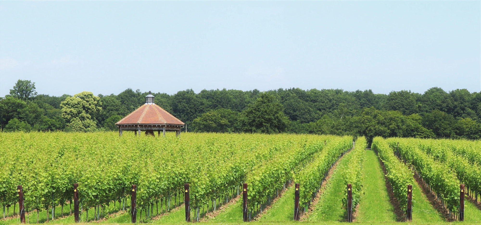 Danbury Ridge Wine Estate
