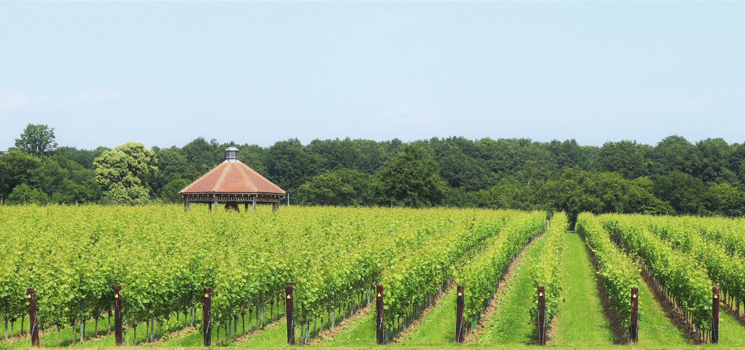 Danbury Ridge Wine Estate