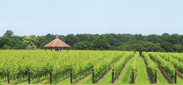 Danbury Ridge Wine Estate