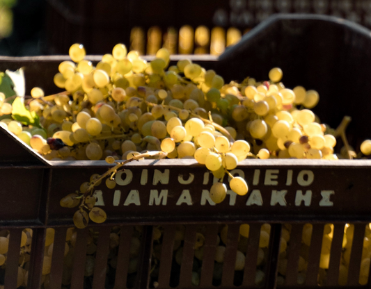 Greek Wine & Mezze Night