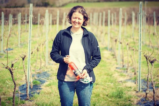A Tasting with English Winemakers