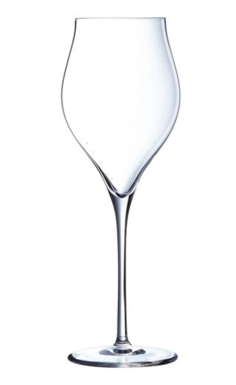 Exaltation Champagne Glass