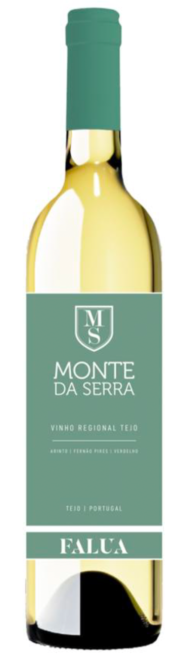 Falua Monte da Serra Tejo White 2024