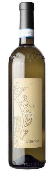 GRECO SANNIO DOP copy