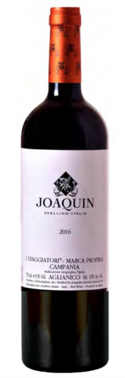 I Viaggiatori Joaquin 2016