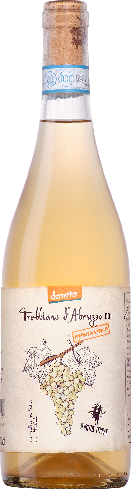 Cantina Orsogna Spiritus Terre Trebbiano d’Abruzzo DOC ORG 2025