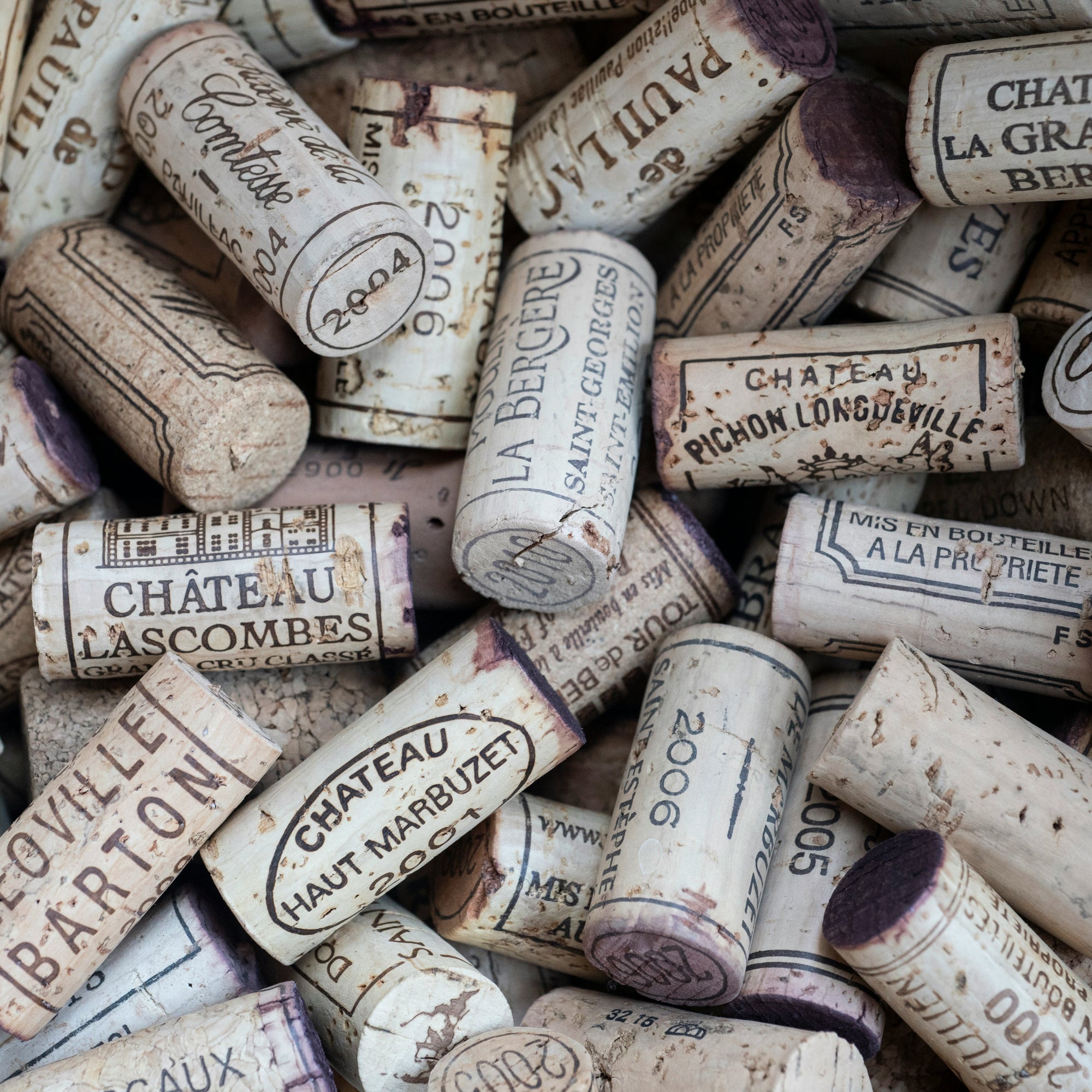Bordeaux Wine Tasting