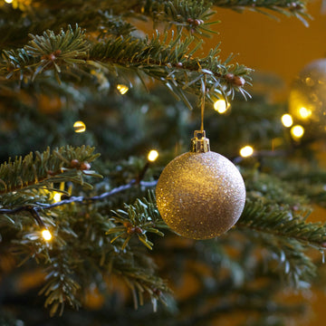 Grand Christmas Wine Tasting