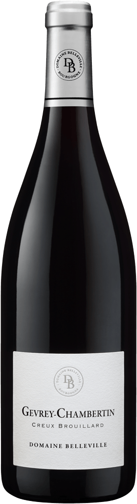 Domaine Belleville Gevrey Chambertin Creux Brouillard 2022