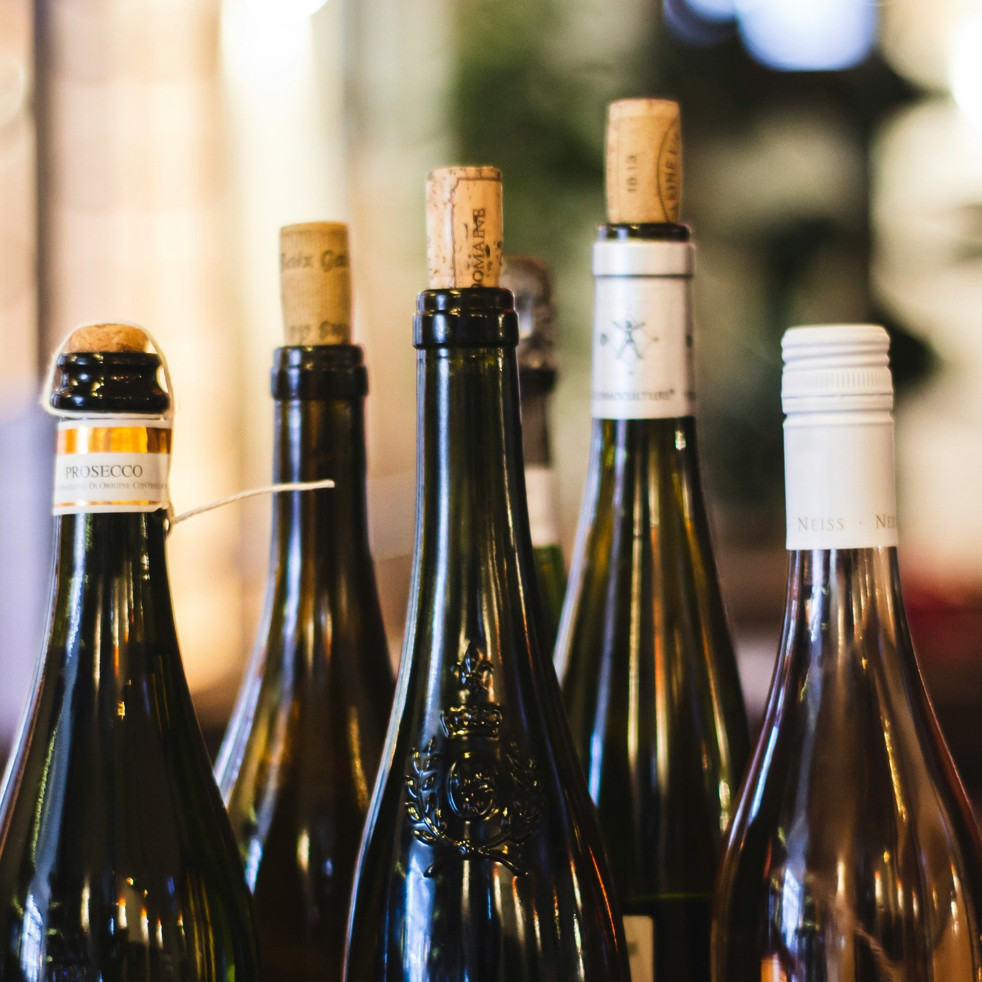 New World vs. Old World Tasting